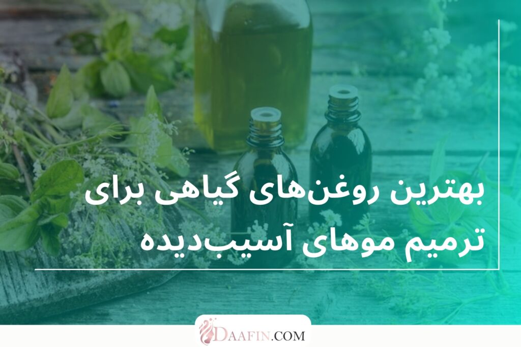 بهترین روغن‌های گیاهی برای ترمیم موهای آسیب‌دیده