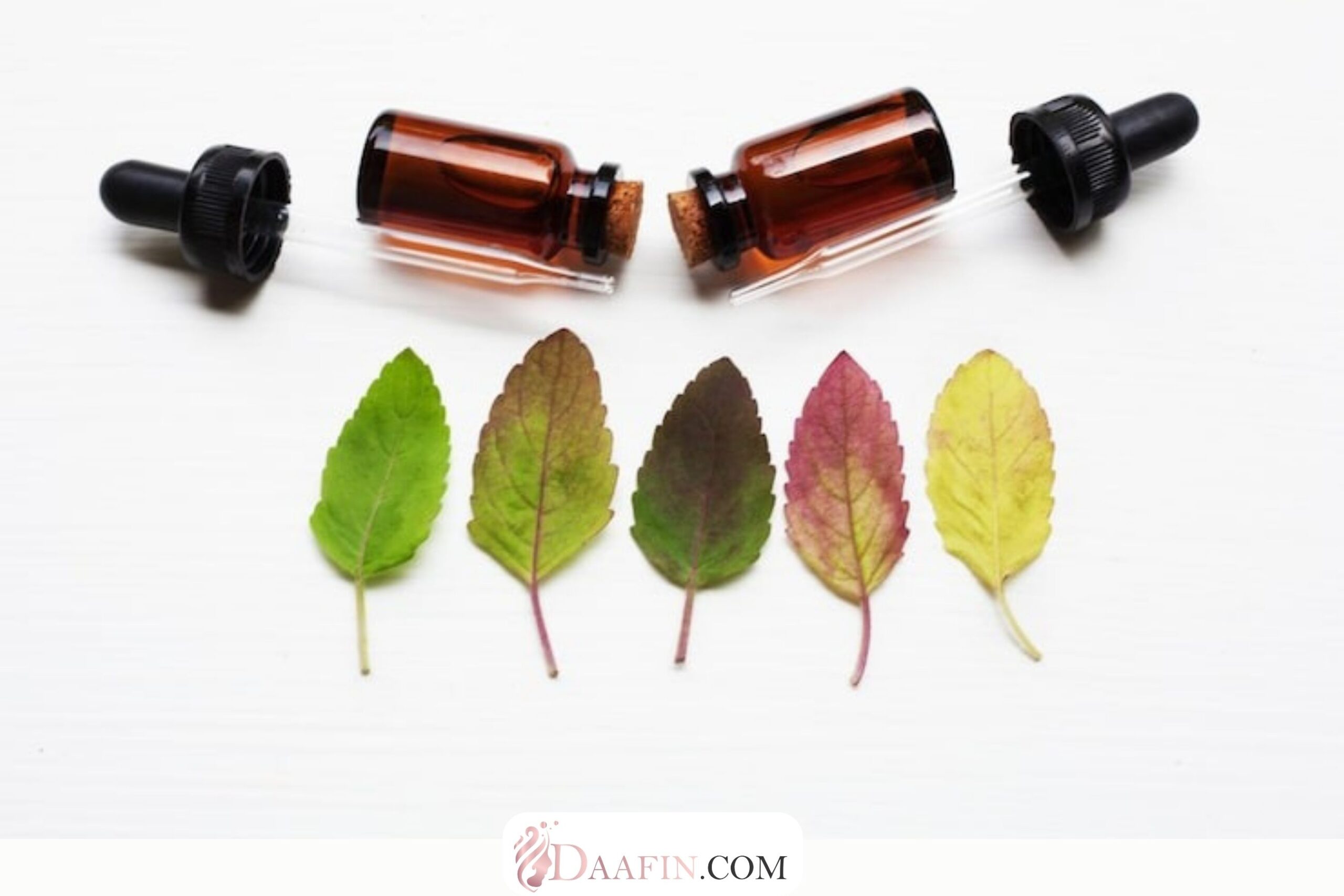 سرم‌های مناسب برای فصل‌های مختلف سال