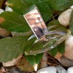 ادکلن زنانه لزلی مدل ایفوریا حجم 25 میلی لیتر