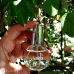 ادکلن اکلت لزلی زنانه Lanvin Eclat حجم 25 میلی لیتر