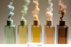 مقایسه عطرهای خنک و گرم: تفاوتها، کاربردها و انتخاب مناسب